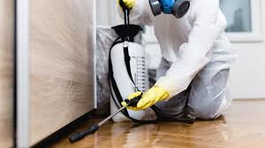 Best Termite Inspection and Treatment  in Seaman, OH