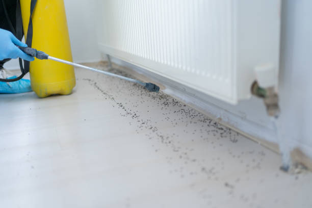 Best Pest Prevention Services  in Seaman, OH